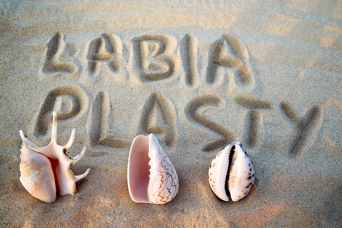 Sea shell in the form of female genitalia, vagina, inscription on the sand labiaplasty