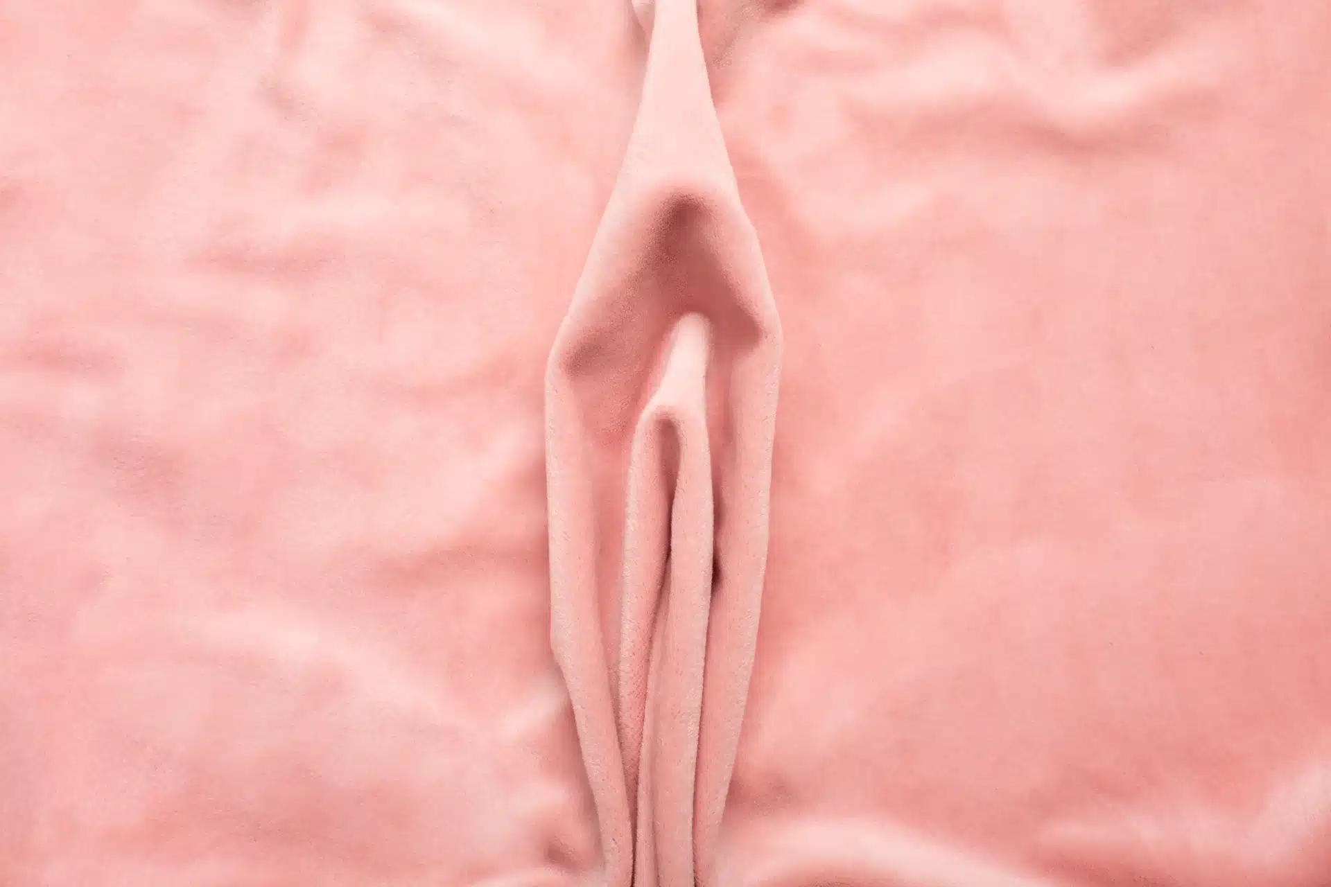 pink soft fabric shaped as female genital organs pink soft fabric shaped as female genital organs